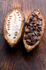 Obraz na płótnie Canvas Cocoa (cacao) beans on a beanpod with focus on foreground.