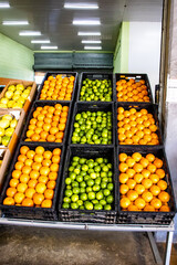 fresh fruit in a market