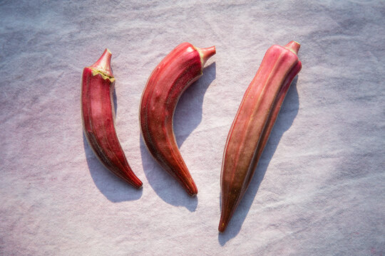 Red okra pods 2