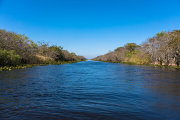 Naklejka premium The Everglades National Park, Florida, USA