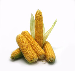 Several ears of corn with leaves on a light background. Natural product. Natural structure. Natural color. Close-up.