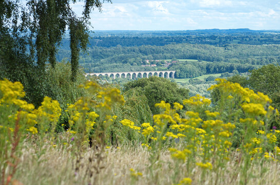 View of Cefn Mawr Viaduct which carries the Chester and Shrewsbury railway over the River Dee between Newbridge and Cefn-Bychan. The arches in the distance have soft focus wild flowers in foreground.