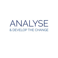 ''Analyse and develop the change'' sign vector for business development design
