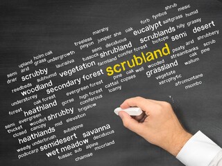 scrubland