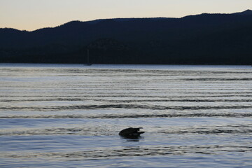 Sunset at Lake Tahoe