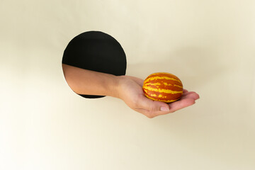 Small Vietnamese melon in hand through round hole in paper. Miniature fruit with pineapple flavor. Copy space. Horizontal orientation.