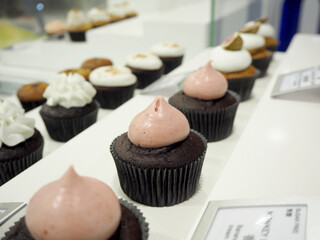 travel in Hongkong Kowloon