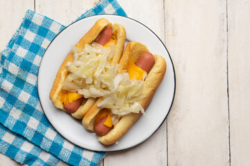 Montreal hot dog with cabbage on white background