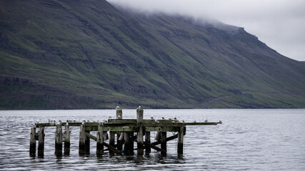 Abandoned dock in the Strandir region, Northwest Iceland. 