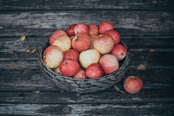 Basket with ripe red apples on a wooden bench
