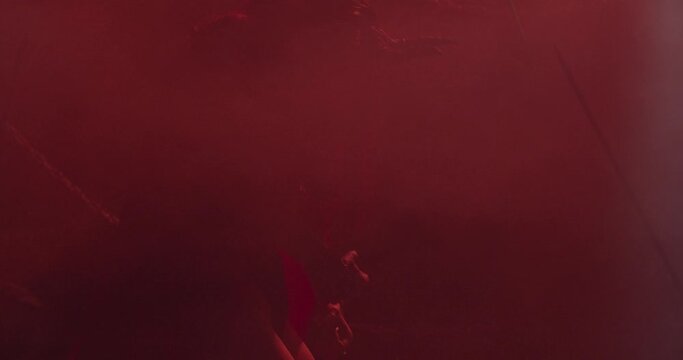 Terrifying succubus with horns and claws in low red lighting and smoke, 4k