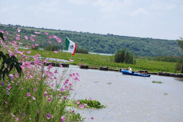 mexican landscape with windmill and flowers