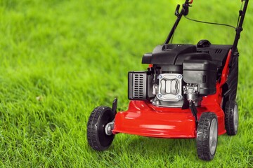 Obraz premium Gardening.