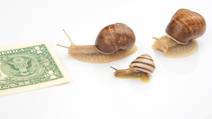 metaphor for achieving financial success in business. snails run on a running track for wealth. perseverance in work and time to win. business competition display concept