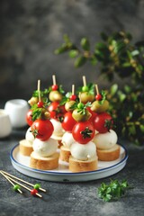 Canapes of mozzarella, green olives, cherry tomatoes, parsley on croutons of white bread.