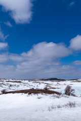 Winter on a barren and marshy hill. The yellow grass is poking up through the white snow mounds.The background is blue sky with white fluffy clouds. The upward view has boulders scattered on the field