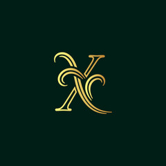 elegant initial line