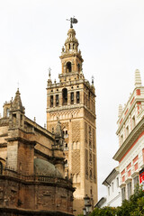 Fototapeta na wymiar The Giralda, made by de arabs, is the bell tower of the Cathedral of Seville in Seville, Spain