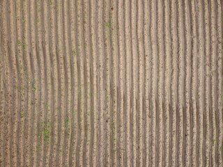 Aerial view of field stubble from drone 