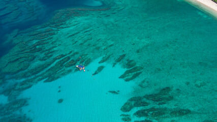 奄美の海、亜熱帯、トロピカル