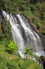 Obraz premium the swift water of the cikondang waterfall.