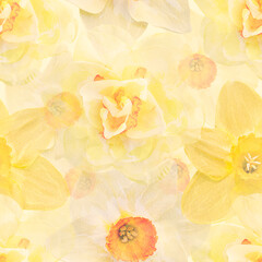Seamless floral design with daffodil flowers for background