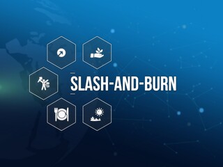 slash-and-burn