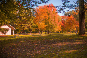 Fall at the Park