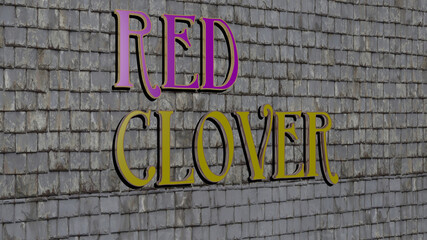 3D representation of RED CLOVER with icon on the wall and text arranged by metallic cubic letters on a mirror floor for concept meaning and slideshow presentation. background and illustration