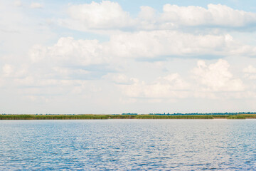 reeds on the lake Velence, reeds on the horizon