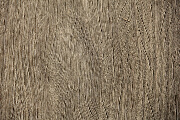 木のグラフィック素材