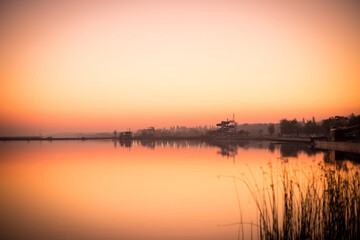 Fototapeta na wymiar bulrush silhouette at Lake Velence, the northern shore of Lake Velence at sunset