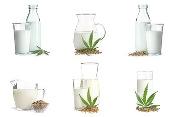 Set of glassware with hemp milk on white background