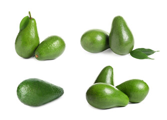 Set of whole avocados on white background