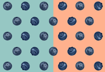 Many fresh blueberries on light blue and pale coral background. Pattern design