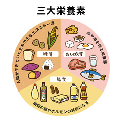 三大栄養素の表イラスト（円型）