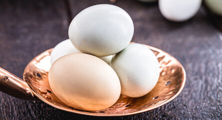 Unwashed colored Brazilian chicken eggs, free range eggs, of various shapes, colors and sizes