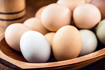 Brazilian free-range eggs, natural free-range eggs from Minas Gerais