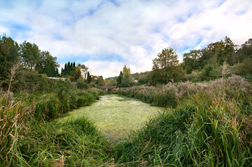 Green Water