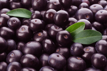 Fresh ripe acai berries as background, closeup