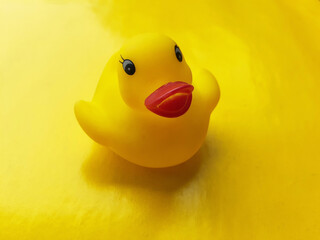 Cute yellow rubber duck isolated on yellow background. Toy duck is used in bath tubs, summer concept.