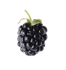 Delicious fresh ripe blackberry isolated on white