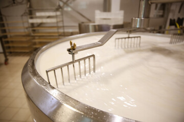 Milk in curd preparation tank at cheese factory