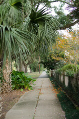 Streets in New Orleans