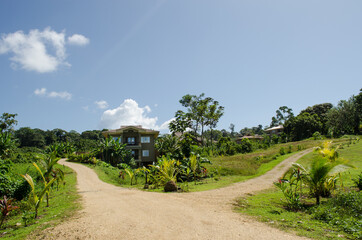 Scenery in tropical region