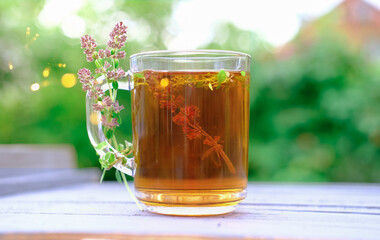 thyme tea in a glass mug. herbal tea for health. thyme as traditional medicine ingredient. healing herbs. tea cup on a wooden table outdoors in a garden.