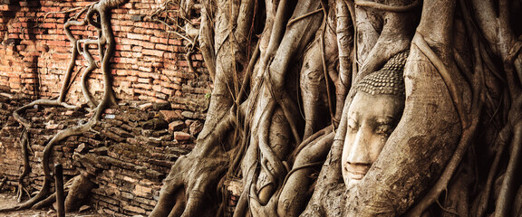 Buddha decay , THAILAND Ruins and Antiques at the Ayutthaya Historical Park , banner - obrazy, fototapety, plakaty