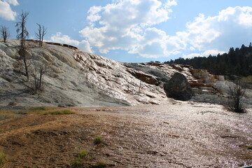 Mammoth Hot Springs Yellowstone