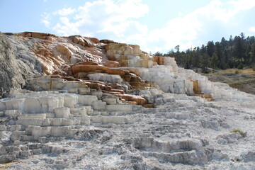 Mammoth Hot Springs Yellowstone