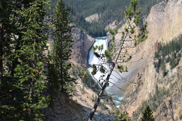 Grand Canyon of the Yellowstone